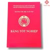 bia tot nghiep mc 1