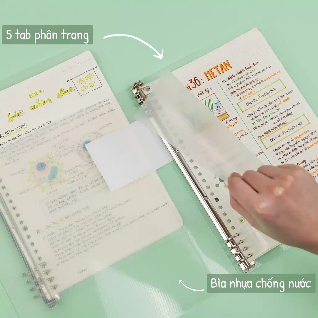 Còng B5 8 chấu lỗ 2cm